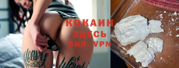 ГАЛЛЮЦИНОГЕННЫЕ ГРИБЫ Елизово