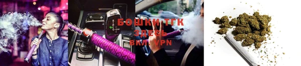 ГАЛЛЮЦИНОГЕННЫЕ ГРИБЫ Елизово