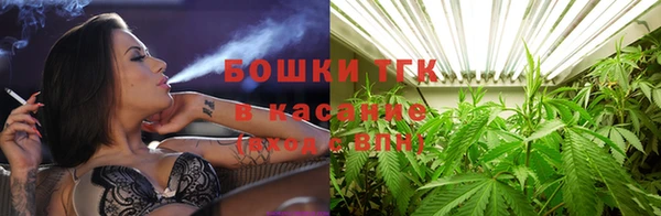 ГАЛЛЮЦИНОГЕННЫЕ ГРИБЫ Елизово