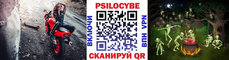 Галлюциногенные грибы ЛСД  Купить где  Аркадак 